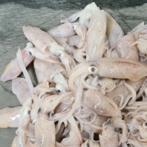 Frozen Squid