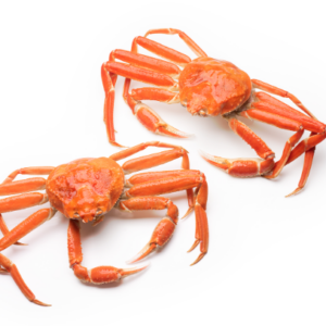 Snow Crabs